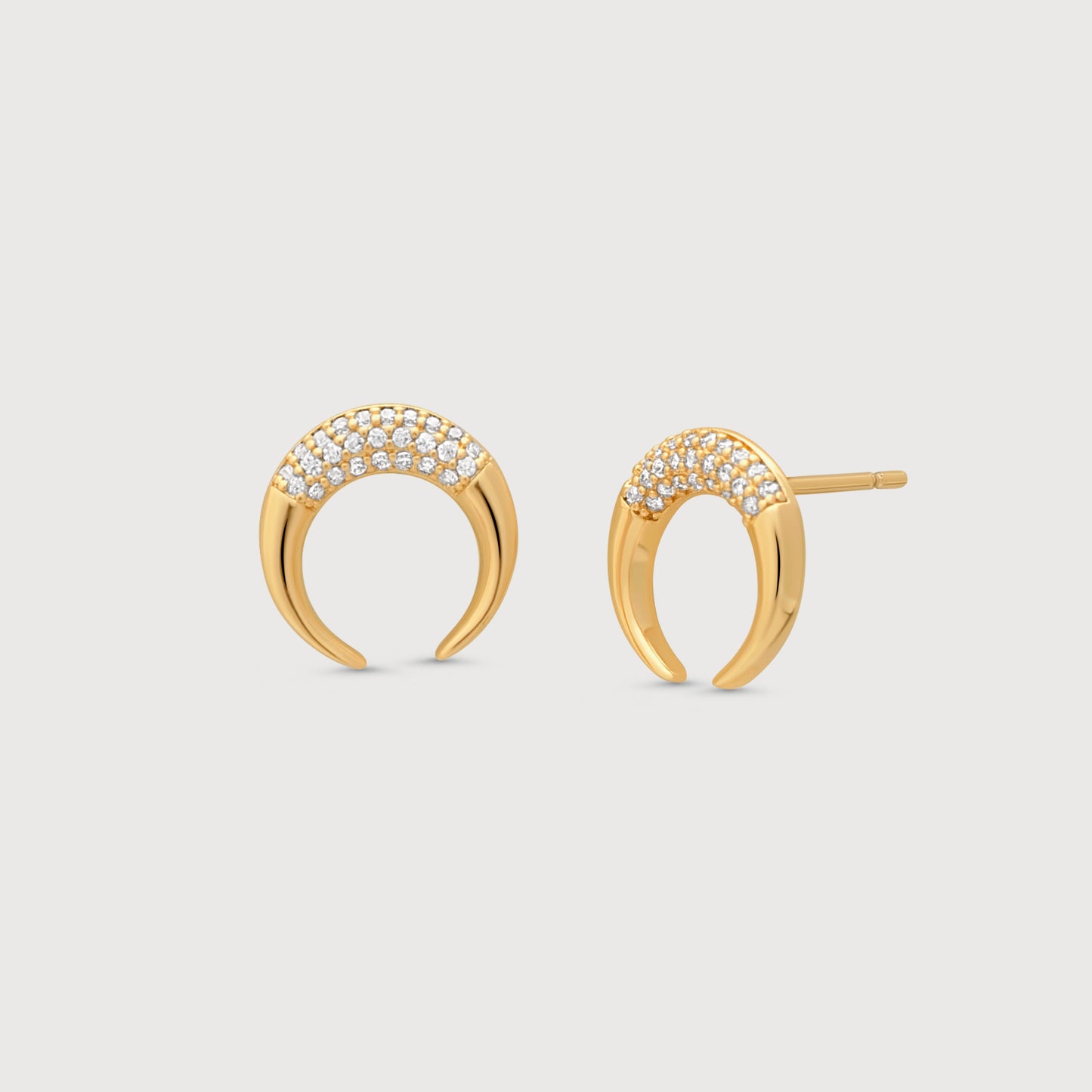 Double Horn Earrings
