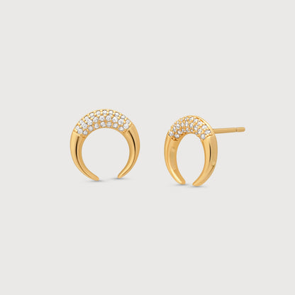 Double Horn Earrings
