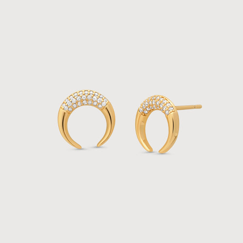 Double Horn Earrings