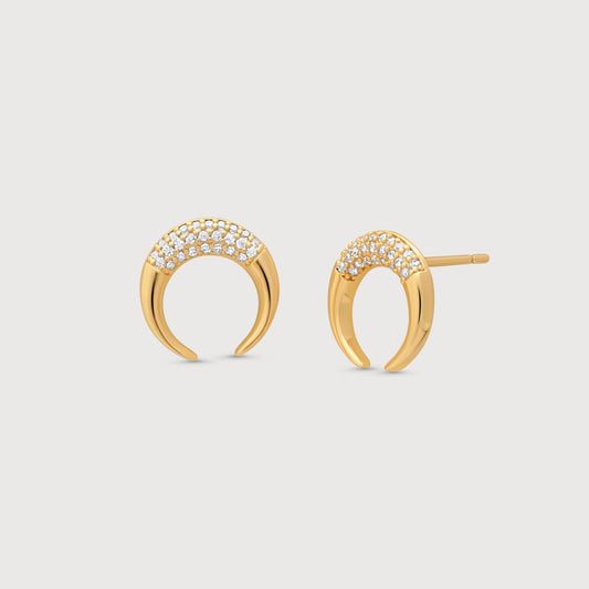 Double Horn Earrings