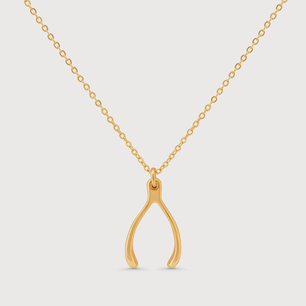 Lucky Wishbone Necklace