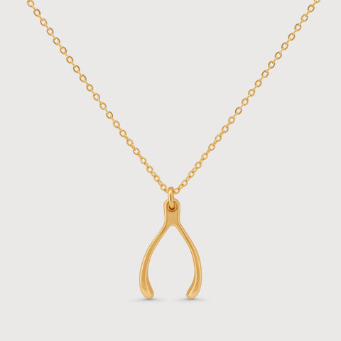 Lucky Wishbone Necklace