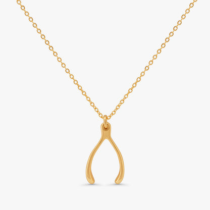 A gold necklace with a wishbone pendant on a delicate chain, shown against a light gray background.