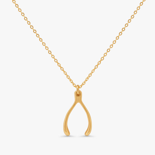 A gold necklace with a wishbone pendant on a delicate chain, shown against a light gray background.
