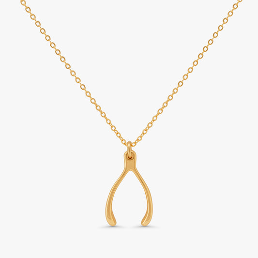 A gold necklace with a wishbone pendant on a delicate chain, shown against a light gray background.