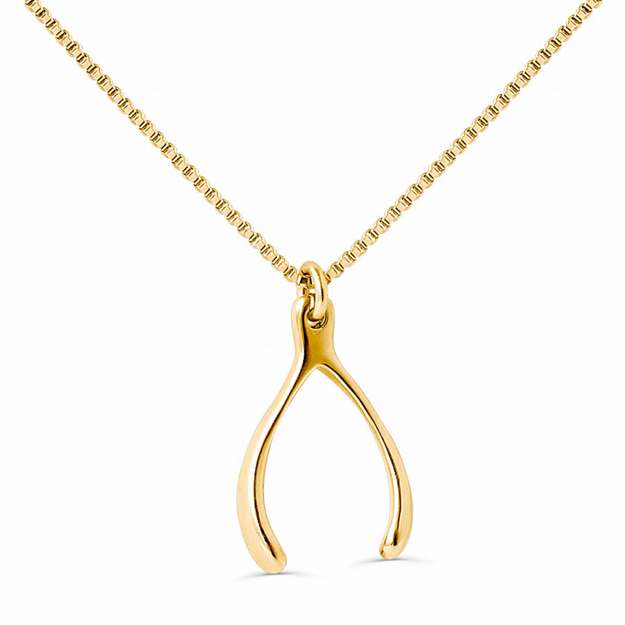Lucky Wishbone Necklace