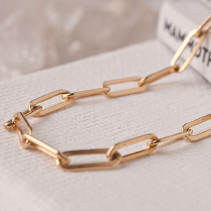 Macro detail of Embla Chunky Pearl 14k gold filled paperclip chain links on neutral background
